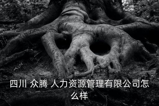 四川 众腾 人力资源管理有限公司怎么样