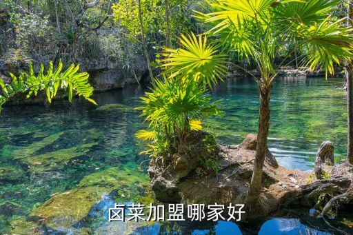 卤菜加盟哪家好