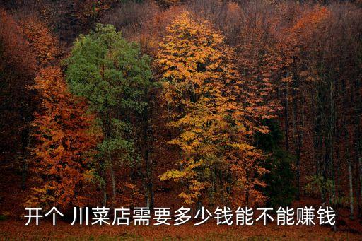 开个 川菜店需要多少钱能不能赚钱