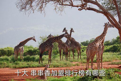 串串香加盟哪个加盟费低,火锅串串香加盟哪个好