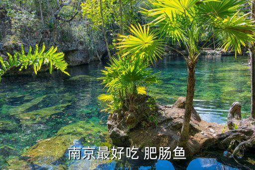 南京最好吃 肥肠鱼