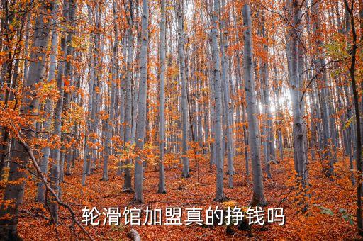  轮滑馆加盟真的挣钱吗