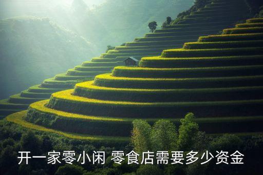 开一家零小闲 零食店需要多少资金