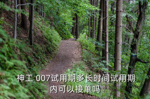  神工 007试用期多长时间试用期内可以接单吗
