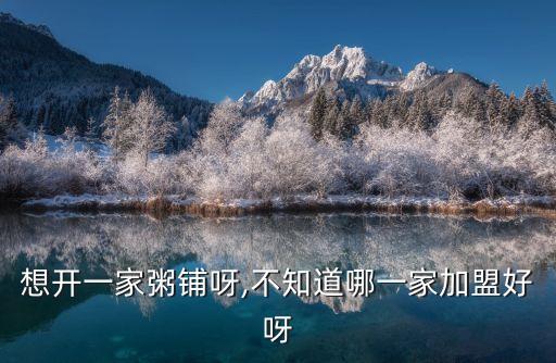 想开一家粥铺呀,不知道哪一家加盟好呀