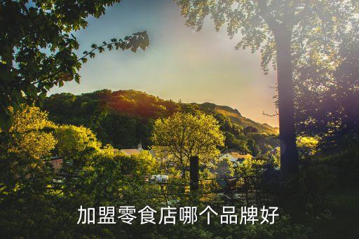 加盟零食店哪个品牌好