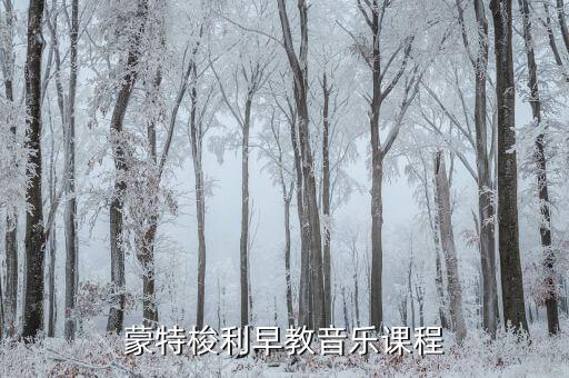 蒙特梭利早教音乐课程