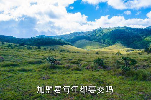 加盟费每年都要交吗