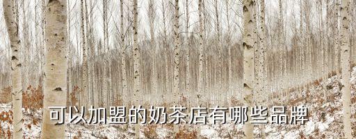 吾良饮品加盟费是多少