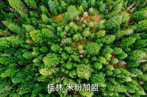 桂林 米粉加盟
