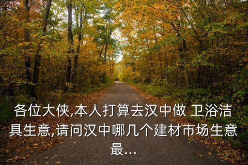 各位大侠,本人打算去汉中做 卫浴洁具生意,请问汉中哪几个建材市场生意最...