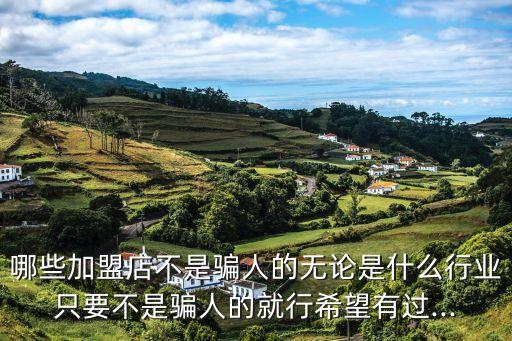 巴贝拉加盟费