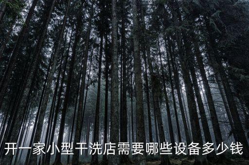 开一家小型干洗店需要哪些设备多少钱