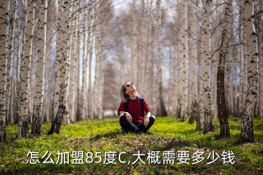 怎么加盟85度C,大概需要多少钱