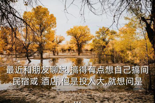最近和朋友聊起,搞得有点想自己搞间民宿或 酒店,但是投入大,就想问是...