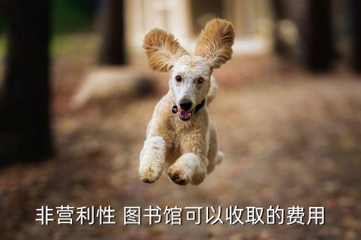 私人图书馆加盟费,私人小影院加盟费多少
