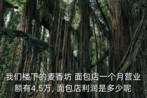 我们楼下的麦香坊 面包店一个月营业额有4,5万, 面包店利润是多少呢