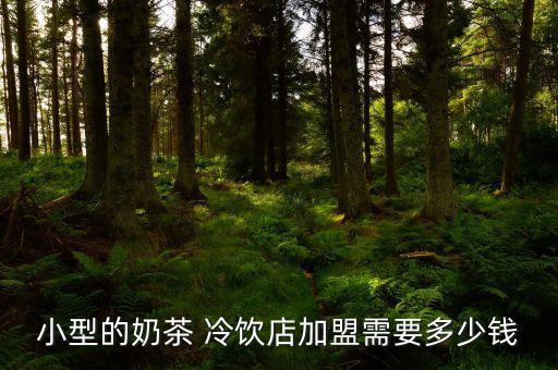 小型的奶茶 冷饮店加盟需要多少钱