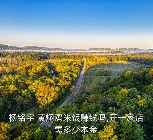 杨铭宇 黄焖鸡米饭赚钱吗,开一家店需多少本金