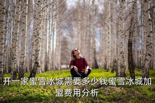 雪可工坊奶茶加盟费多少钱,四川柠檬工坊奶茶加盟费