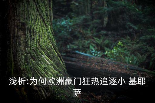 基耶萨加盟费