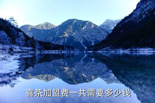 喜茶饮品旗舰店加盟费用