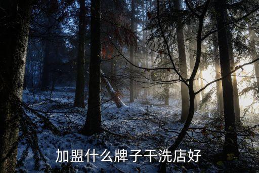 加盟什么牌子干洗店好