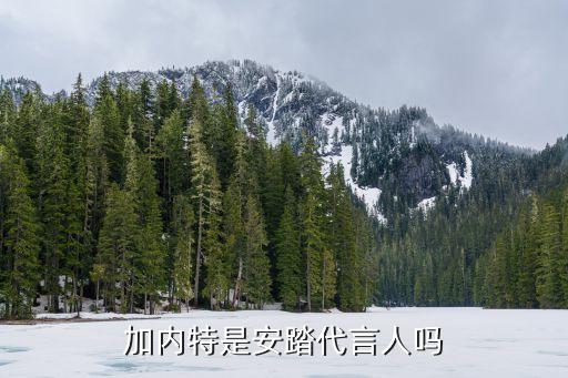 加内特是安踏代言人吗