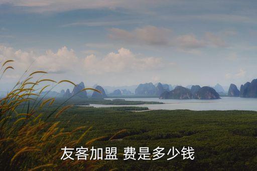 好旺客加盟费是多少,旺客基黄焖鸡加盟费