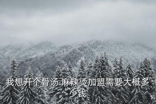 我想开个骨汤 麻辣烫加盟需要大概多少钱