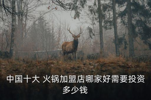 中国十大 火锅加盟店哪家好需要投资多少钱