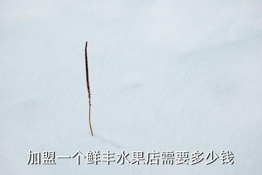 加盟一个鲜丰水果店需要多少钱