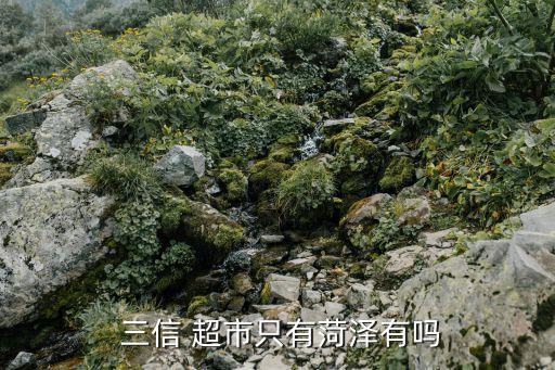  三信 超市只有菏泽有吗
