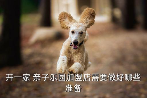 开一家 亲子乐园加盟店需要做好哪些准备