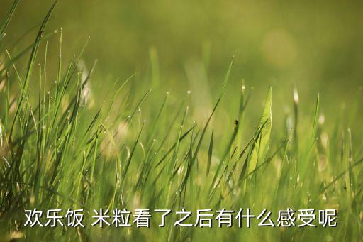 饭米粒儿加盟费,2022欢乐饭米粒儿第9季
