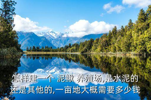 怎样建一个 泥鳅 养殖场,是水泥的还是其他的,一亩地大概需要多少钱
