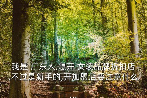 我是 广东人,想开 女装品牌折扣店,不过是新手的,开加盟店要注意什么...