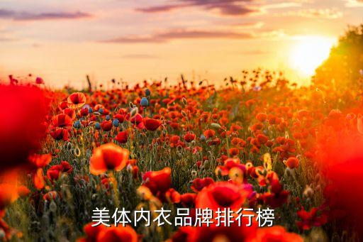  美体内衣品牌排行榜