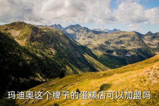 玛迪奥这个牌子的蛋糕店可以加盟吗