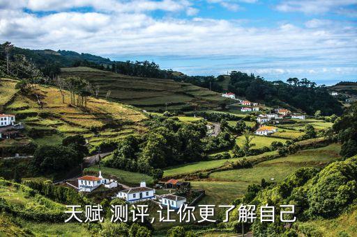  天赋 测评,让你更了解自己