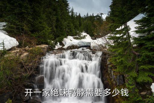 开一家绝味鸭脖需要多少钱