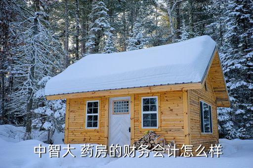  中智大 药房的财务会计怎么样