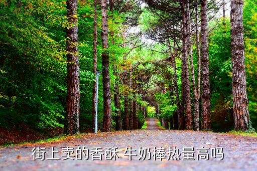 街上卖的香酥 牛奶棒热量高吗