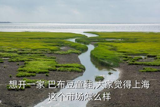 想开一家 巴布豆童鞋,大家觉得上海这个市场怎么样