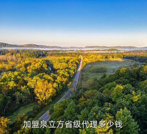 加盟泉立方省级代理多少钱
