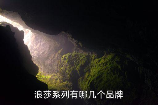 浪莎系列有哪几个品牌