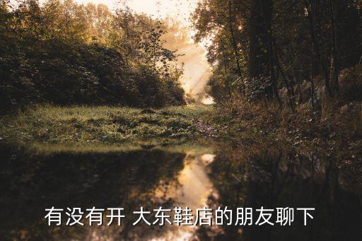 有没有开 大东鞋店的朋友聊下
