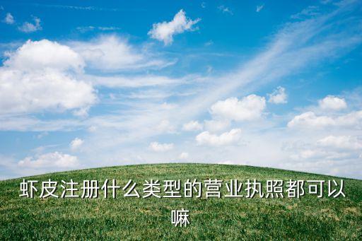  虾皮注册什么类型的营业执照都可以嘛