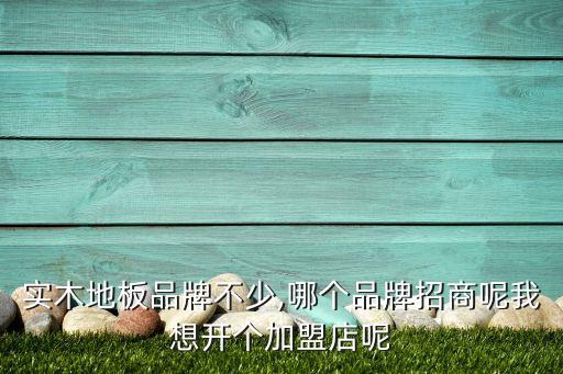 实木地板品牌不少,哪个品牌招商呢我想开个加盟店呢