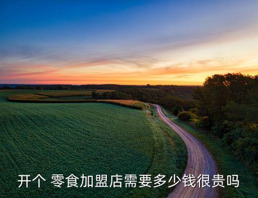 开个 零食加盟店需要多少钱很贵吗